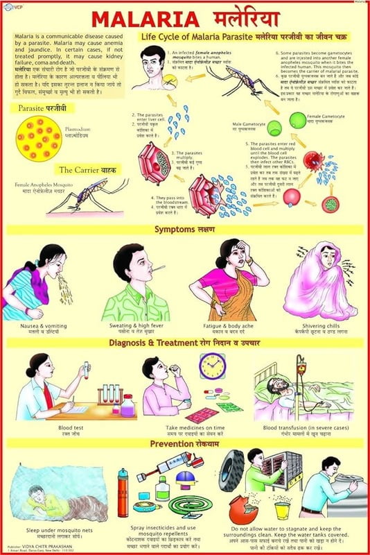 MALARIA SAFETY POSTER