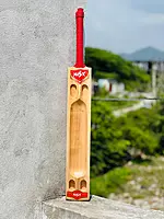 Masix Bat