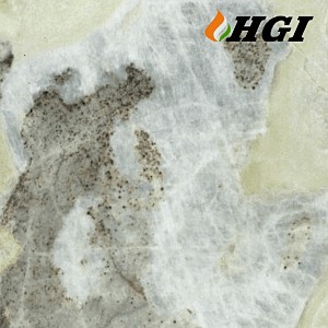 MB304-1M Width Transfer Printing Film