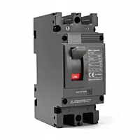 DC MCCB 125A 2-Pole | DC 300V Molded Case Circuit Breaker