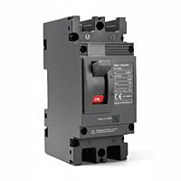 DC MCCB 125A 2-Pole | DC 300V Molded Case Circuit Breaker