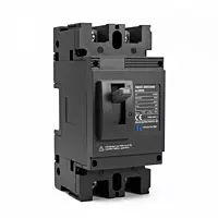 DC MCCB 250A 2-Pole | DC 500V Molded Case Circuit Breaker