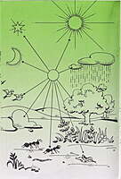 Moral Lessons (Vol.1)