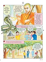 Inspiring Stories from the Holy Trio: Pictorial