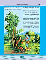 Sri Krishna Pictorial Vol. 1 of 2