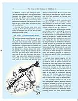 Sri Krishna Pictorial Vol. 2 of 2