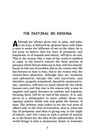 Sri Krishna: Pastoral and King Maker