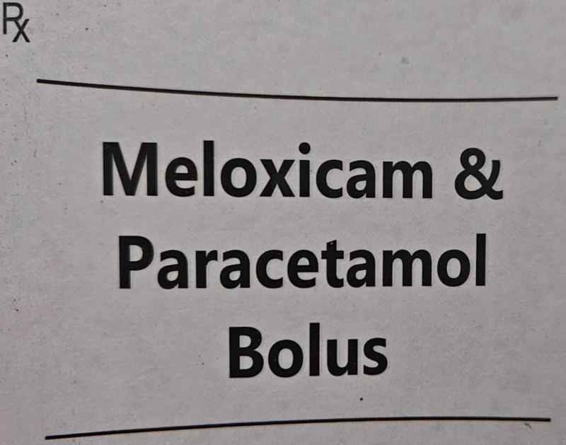 MELOXICAM & PARACETAMOL BOLUS 4s
