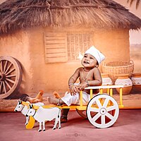 Bullock cart