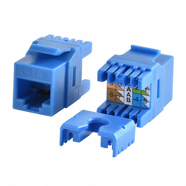 Amp Cat6 Keystone Jack Blue