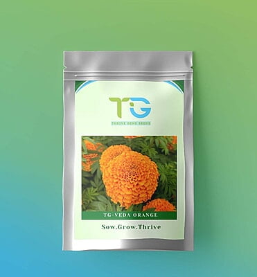 Hybrid Marigold TG-Veda Orange