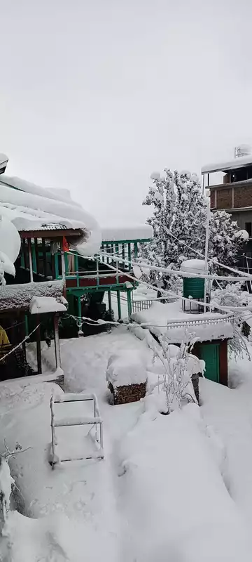 The Beautiful Traveler's Beautiful Stay Chiyyal Village Manali