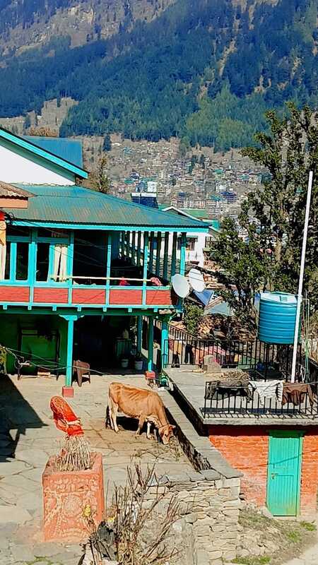 The Beautiful Traveler's Beautiful Stay Chiyyal Village Manali
