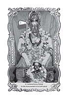 Shankara Dig Vijaya: By Madhava Vidyaranya