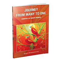 Journey from Many to One: Essentials of Advaita Vedanta