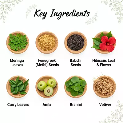 Moringa Methi Hair Pack (100g) – Transform and Strengthen Your Hair Naturally