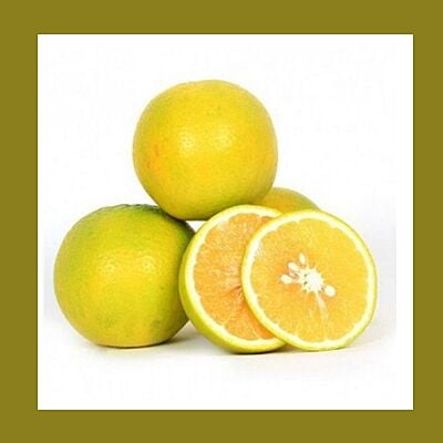 MOSAMBI (Sweet Lime)