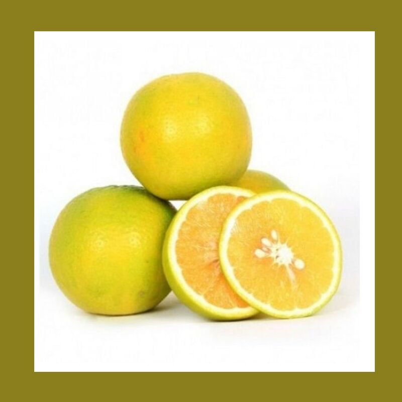 MOSAMBI (Sweet Lime)