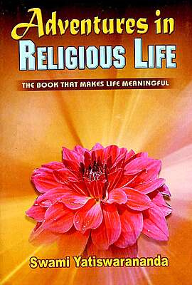 Adventures in Religious Life