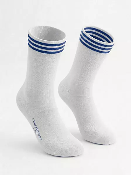 MPS Socks (House)