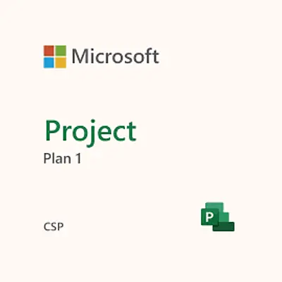 MS Project Plan 1 (1 year) CSP