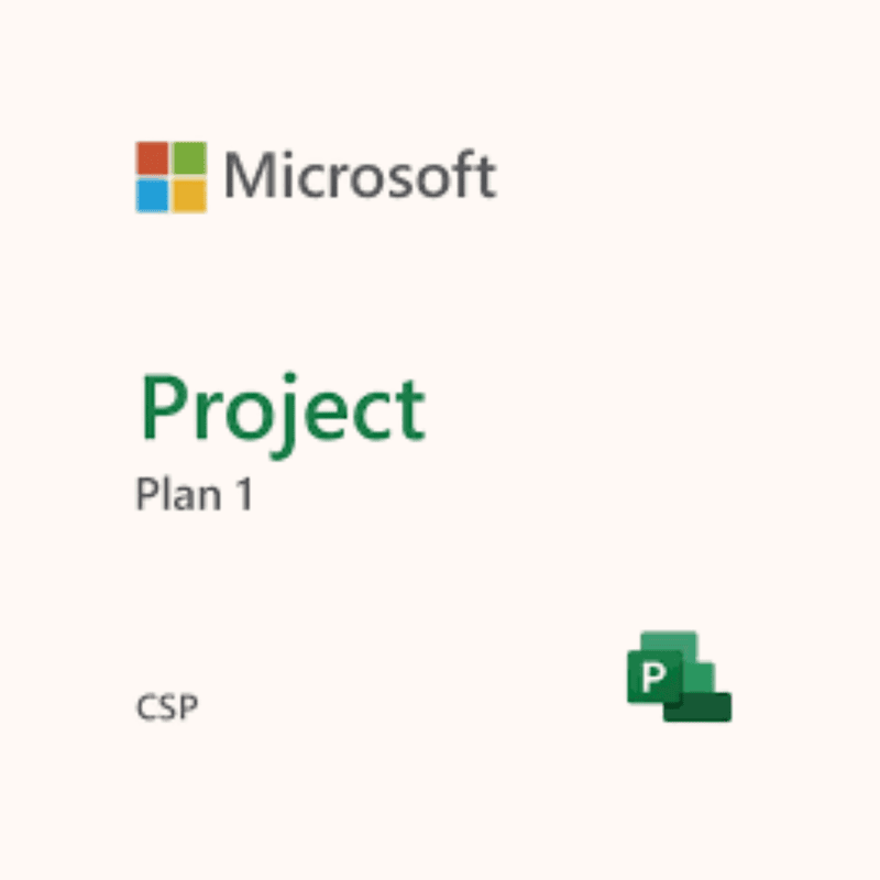 MS Project Plan 1 (1 year) CSP