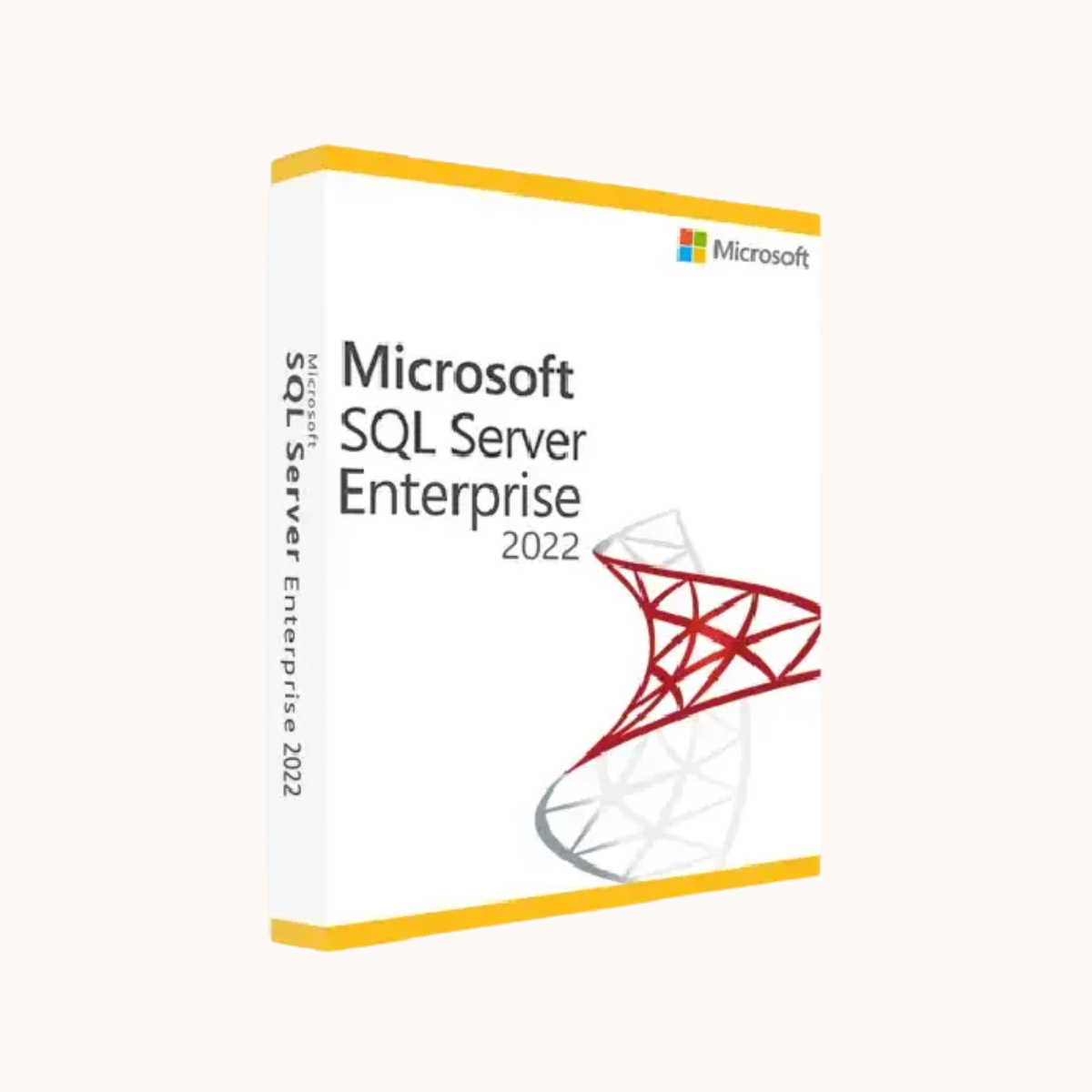 MS SQL Server 2022 Enterprise (2 Core) Licence CSP ESD (Perpetual)