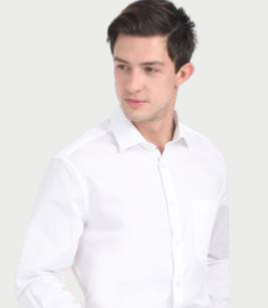 Peter England Formal Shirt