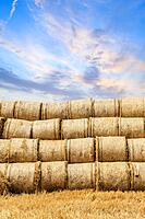 Straw Baling & Packaging Service