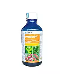 Magister Insecticide