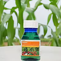 Magister Insecticide by Corteva