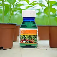 Magister Insecticide by Corteva