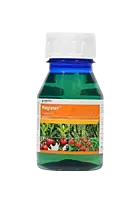 Magister Insecticide by Corteva