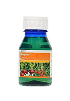 Magister Insecticide by Corteva