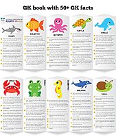 Magnetic Puzzles Aquatic Animals