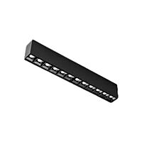 Magnetic Laser light 20W (NW)