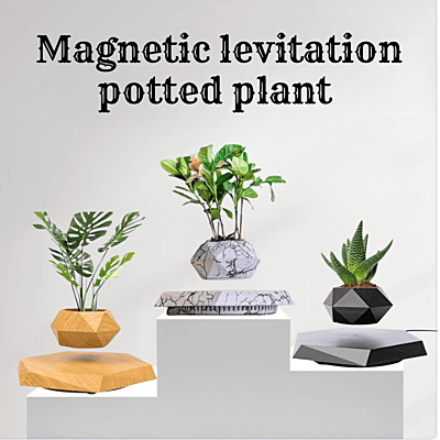 Magnetic Levitating Flower Pot Magnetic Levitating Flower Pot