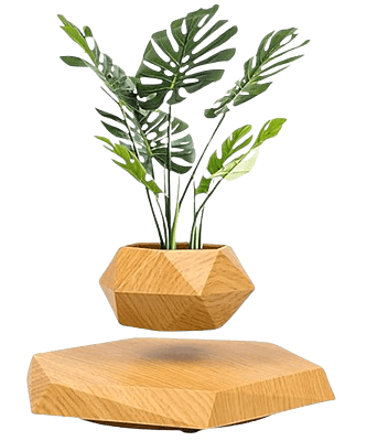 Magnetic Levitating Flower Pot