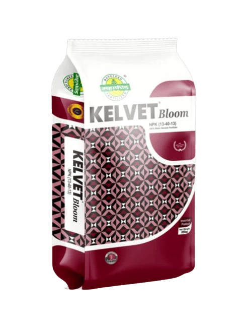 Kelvet Bloom by Mahafeed NPK 13-40-13