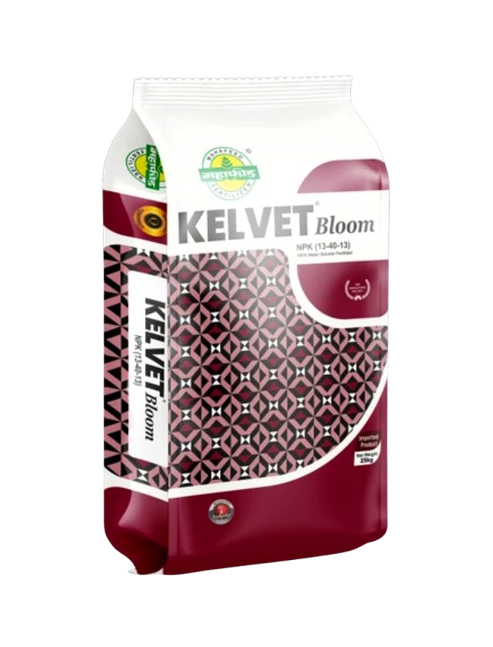 Kelvet Bloom by Mahafeed NPK 13-40-13