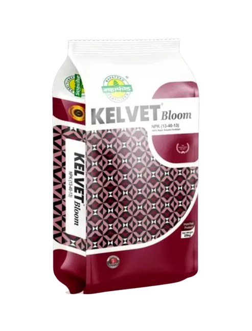 Kelvet Bloom by Mahafeed NPK 13-40-13