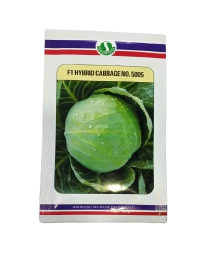 Mahyco Sungro Cabbage No. 5005 Seeds - 10 gm