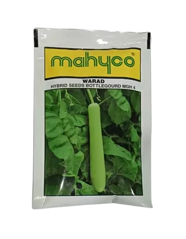 Bottlegourd Warad - 50gm