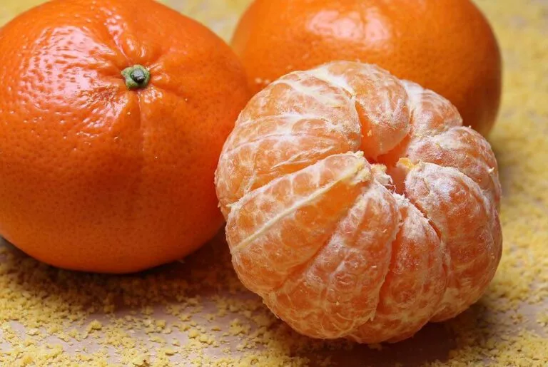 Mandarin Mini