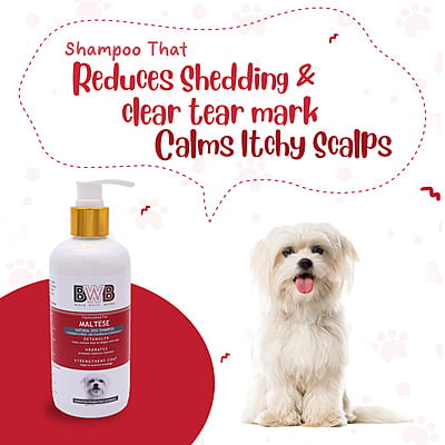 BWB MALTESE SHAMPOO