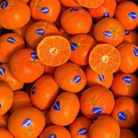 Mandarin | Fresh | 6-8 pc | 500-600gms