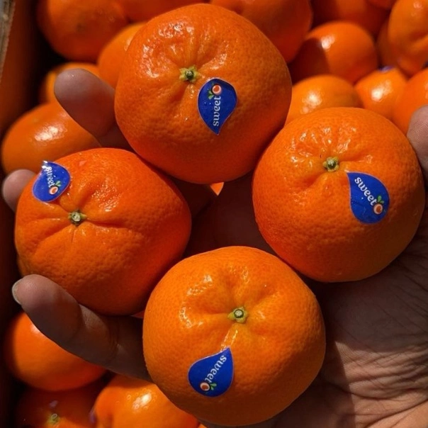 Mandarin | Fresh | 6-8 pc | 500-600gms