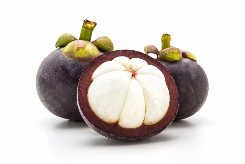 Mangosteen