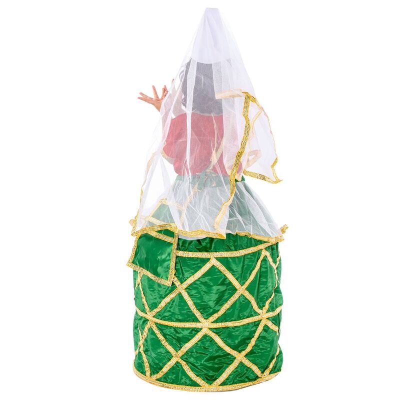 Manipuri Dance Fancy Dress