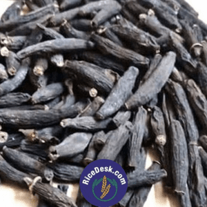 Marata Mogga Marata Mogga